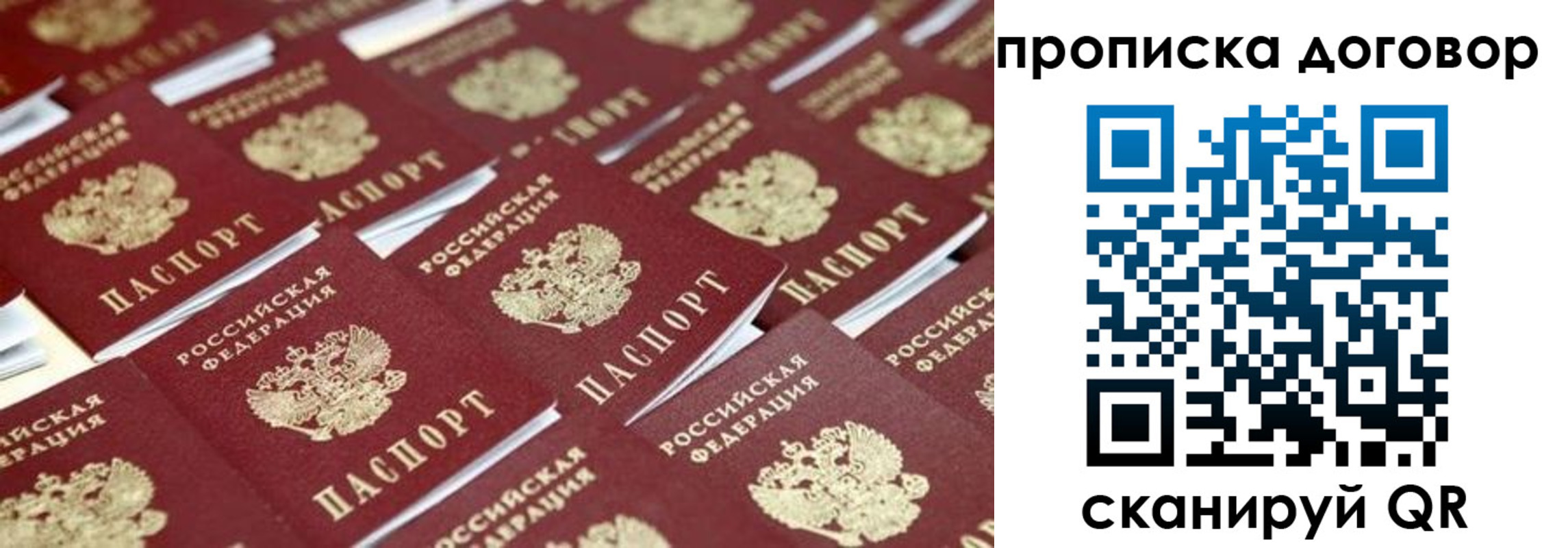 пропишу в квартире в Ставрополе